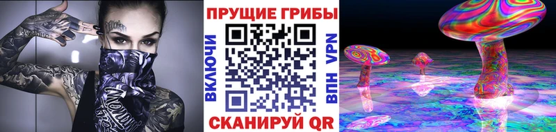 Псилоцибиновые грибы мицелий  Уссурийск 