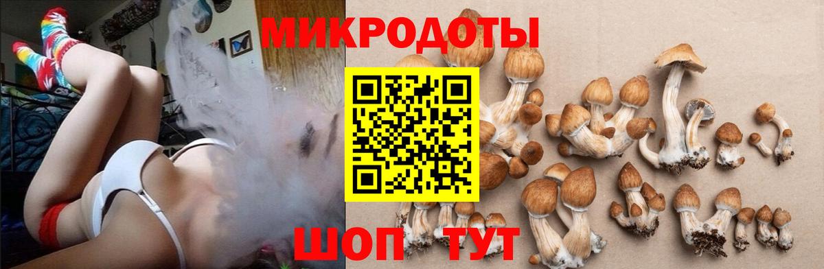 Псилоцибиновые грибы MAGIC MUSHROOMS Уссурийск